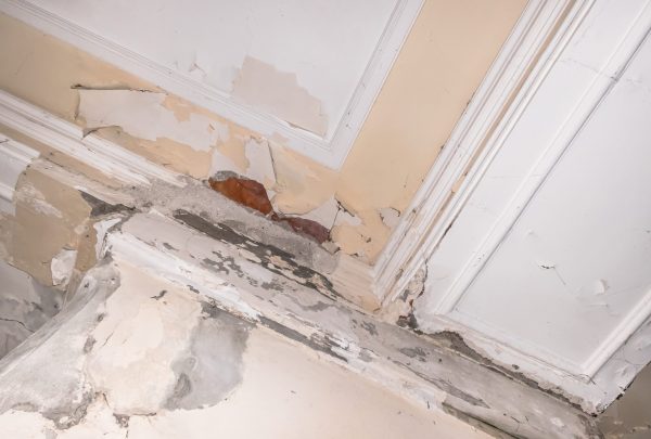 Ceiling and walls mold damage by humidity